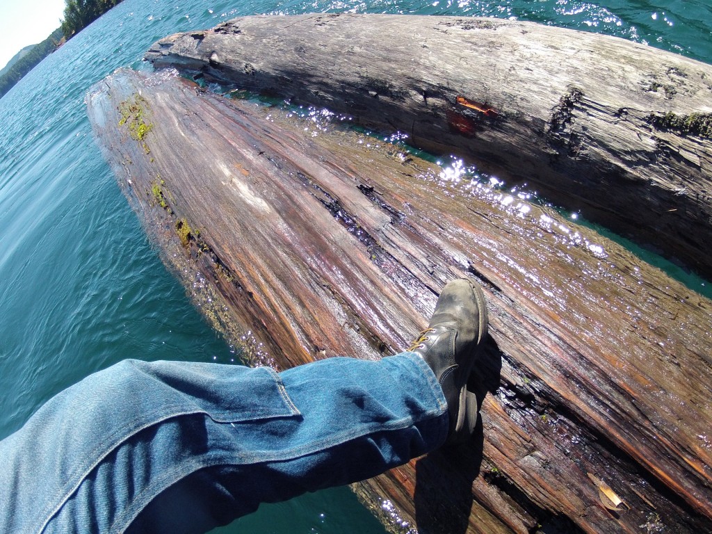 DCIM100GOPRO